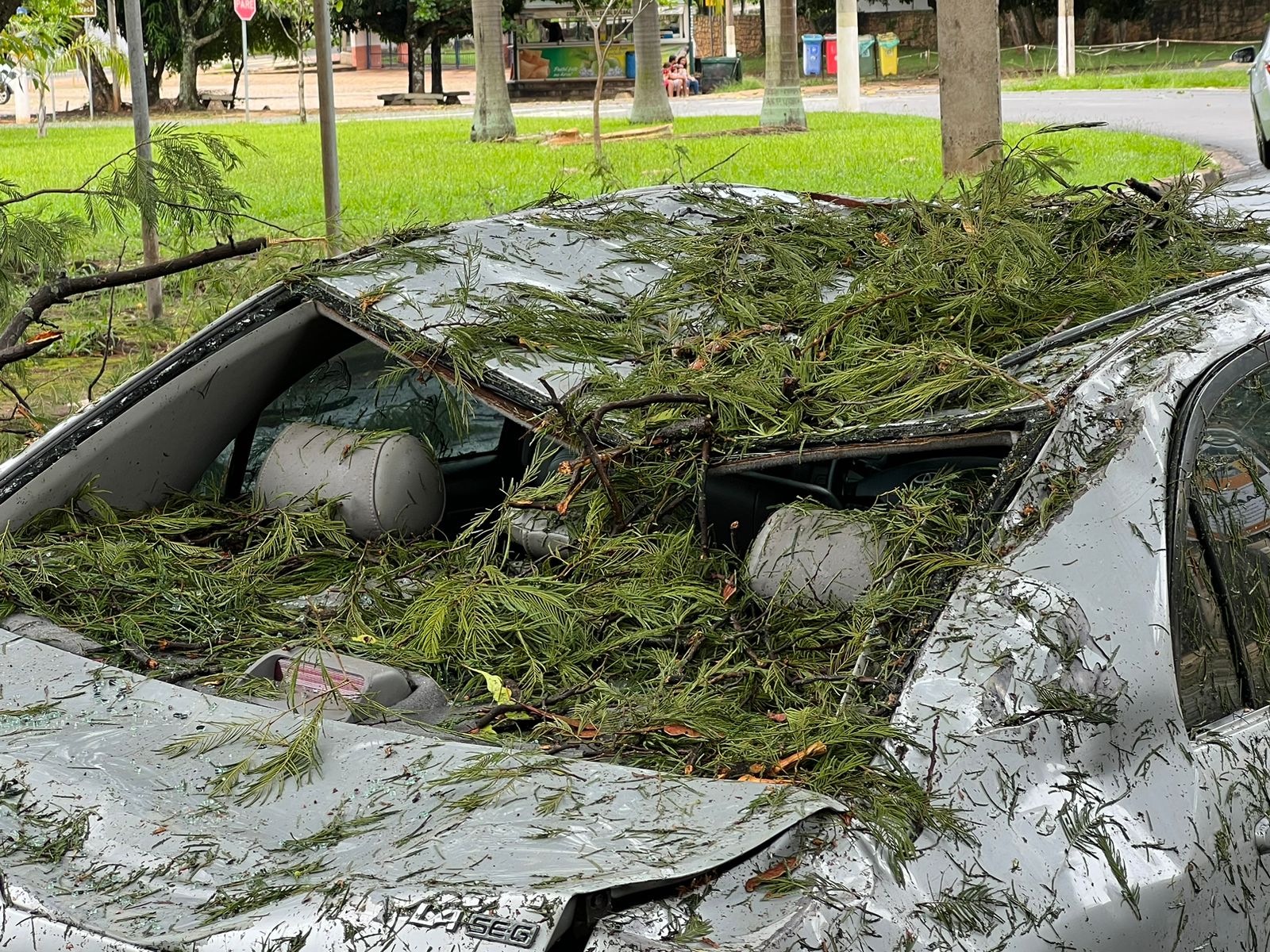 Árvore despenca em carro de família no Balão do Kartódromo, em Campinas