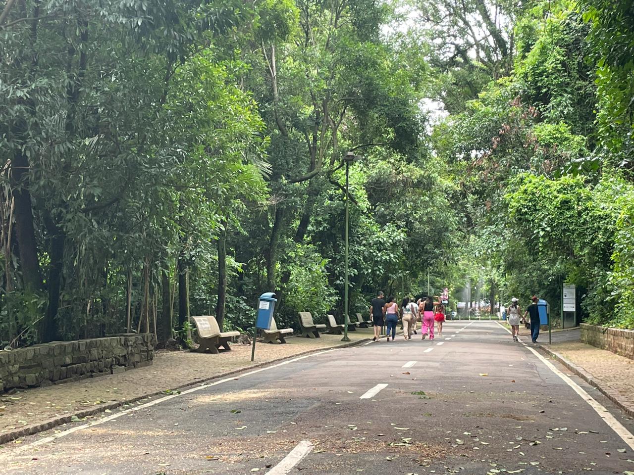 Campinas reabre todos os parques após queda no volume de chuvas