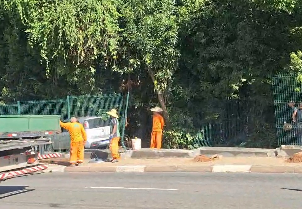 Carro derruba alambrado e invade o Bosque dos Jequitibás em Campinas; ninguém ficou ferido 