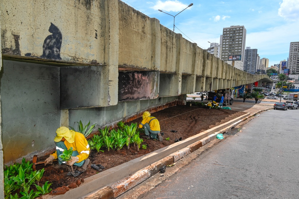 Prefeitura de Campinas tira pedras que ficavam em torno do Laurão