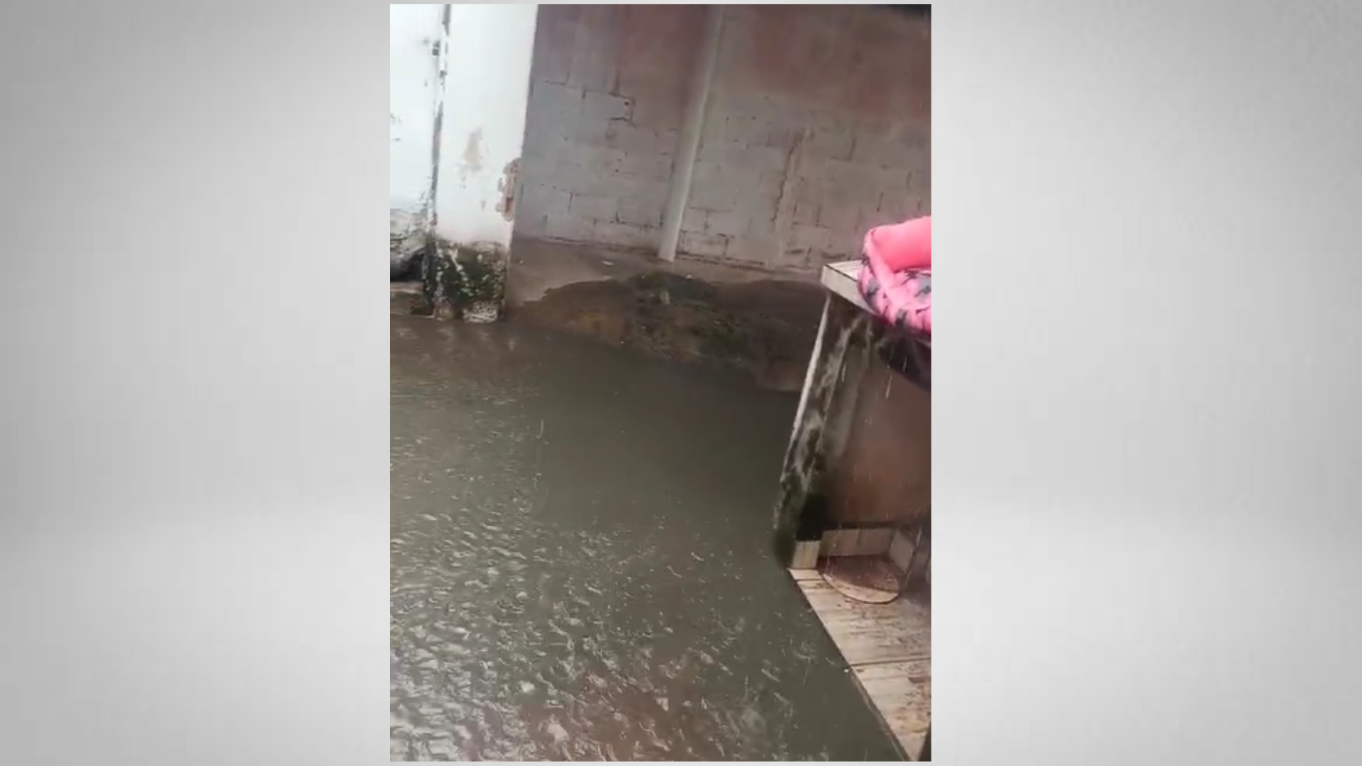 Moradora denuncia vazamento de esgoto em quintal na Vila Perseu Leite de Barros