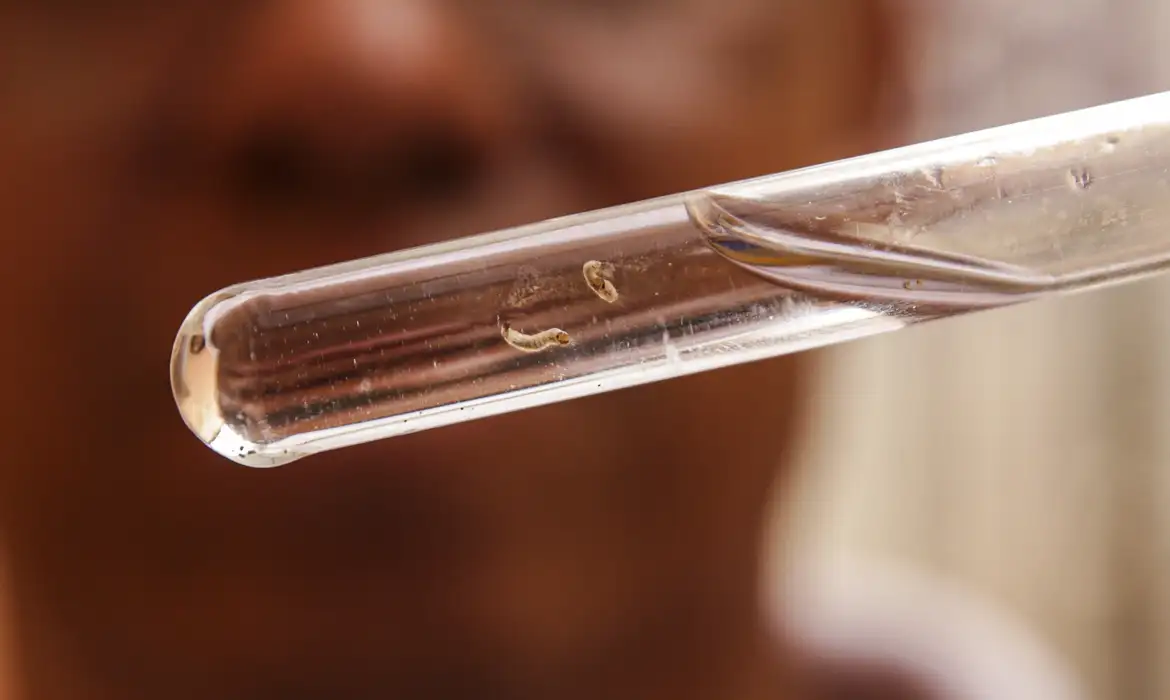 Piracicaba confirma primeira morte por dengue em 2025