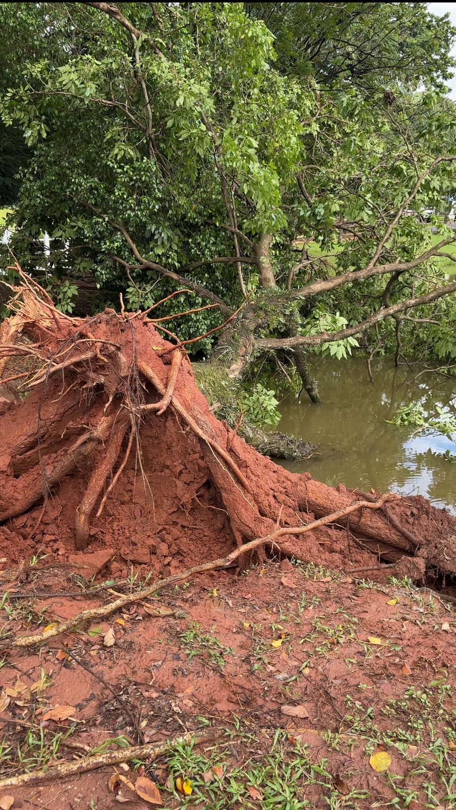 Por chuvas, prefeitura de Paulínia fecha Parque Zeca Malavazzi