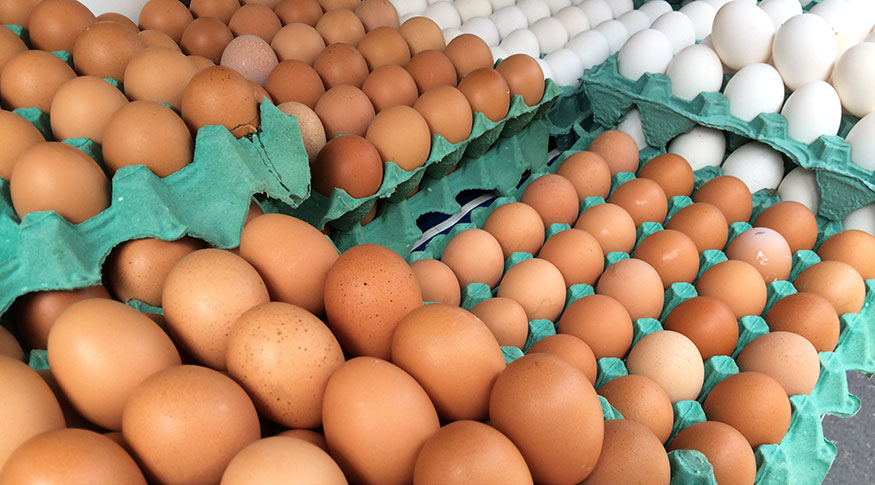 Aumento no preço dos ovos é causado pelos custos de produção e temperatura, afirma zootecnista