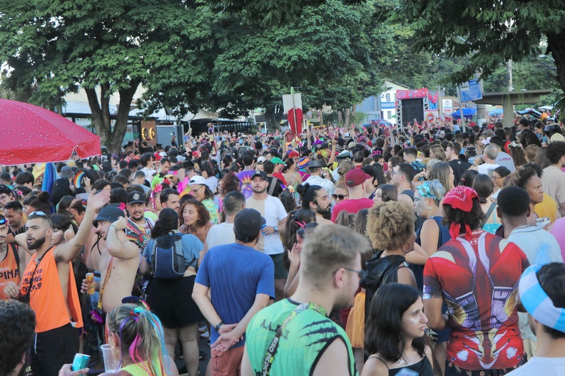 Bairros de Campinas recebem blocos de rua neste final de semana