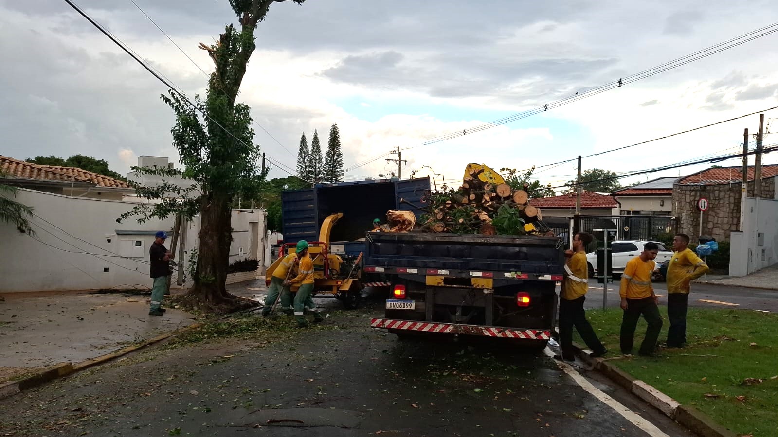 Chuva: Campinas registra queda de árvores e poste; uma casa ficou alagada