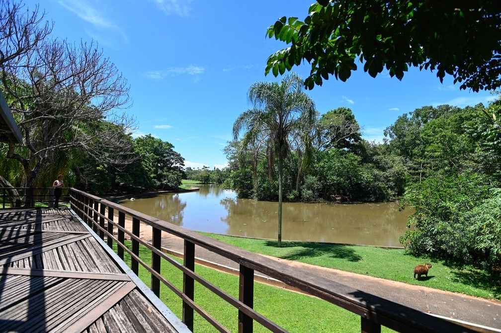 Campinas