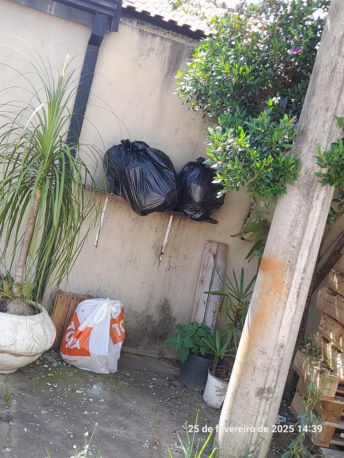 Falta de funcionários atrasa coleta de lixo em bairros de Campinas 