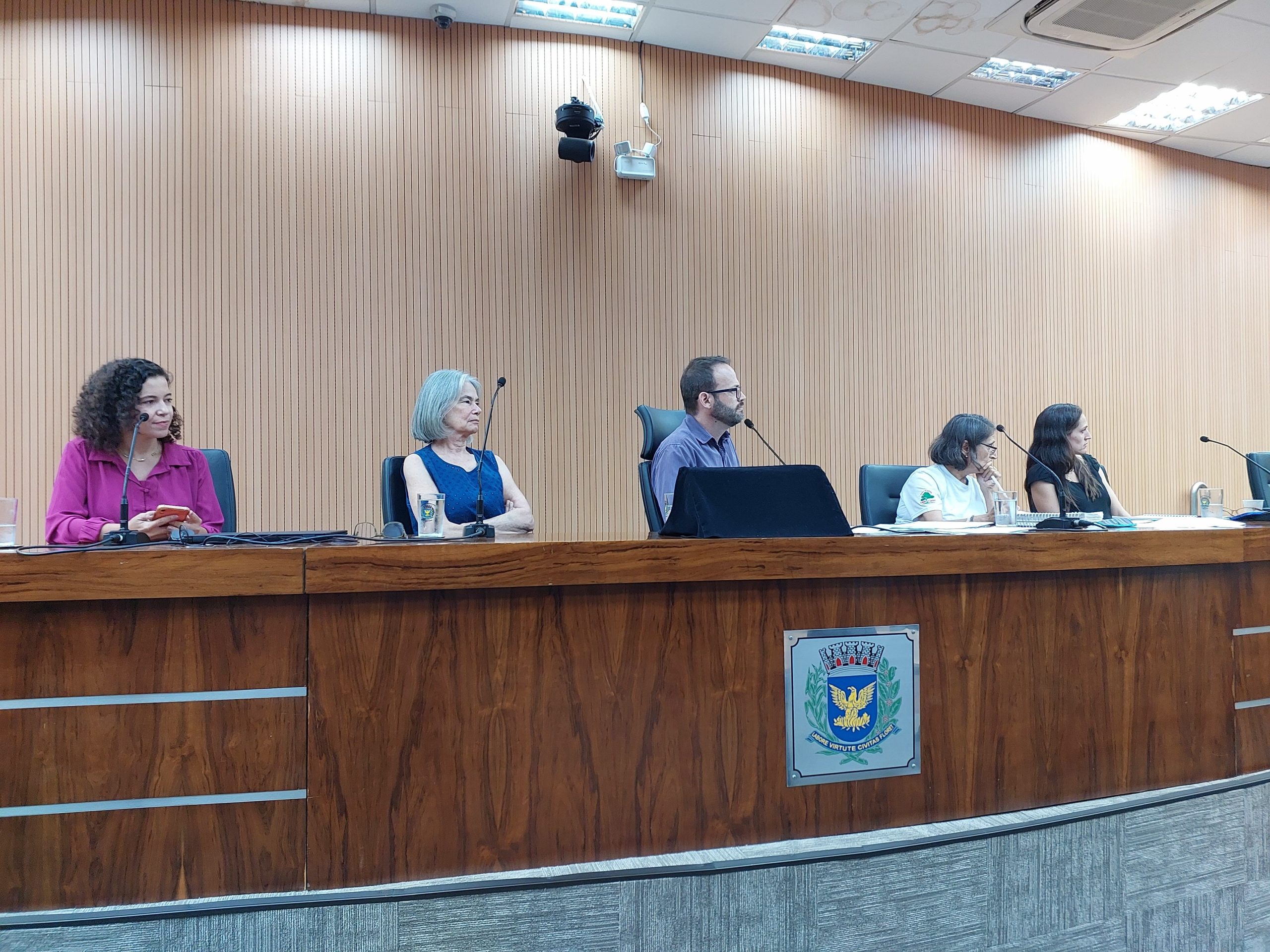 Audiência pública discute alternativas para evitar corte de 400 árvores na Norte-Sul em Campinas 