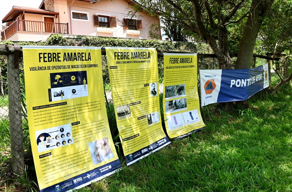 Com paciente já curado, Campinas registra quarto caso de febre amarela