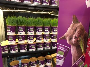 Embalagem perfumada de orquídea e planta pet são destaques na maior feira do setor