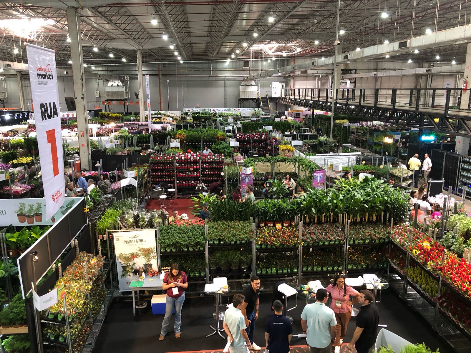 Embalagem perfumada de orquídea e planta pet são destaques na maior feira do setor