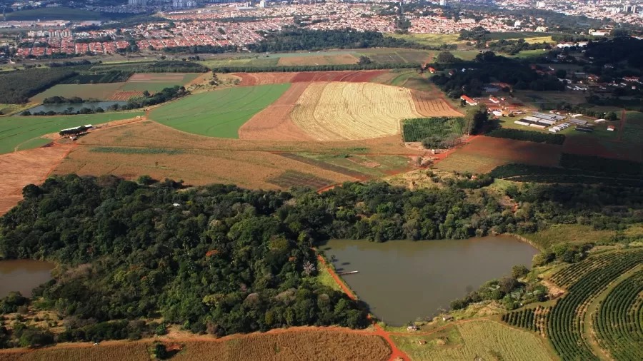 Campinas