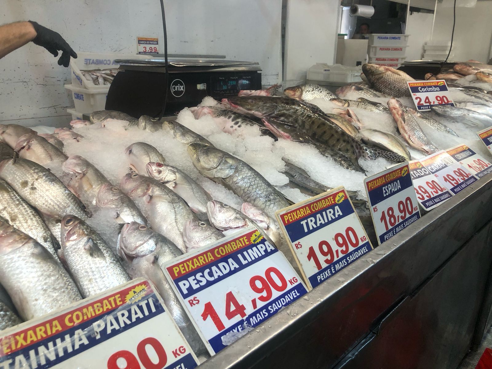Peixarias aguardam movimentação até 30% maior durante quaresma