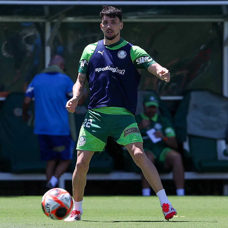 Palmeiras pode ter apenas uma mudança para a final