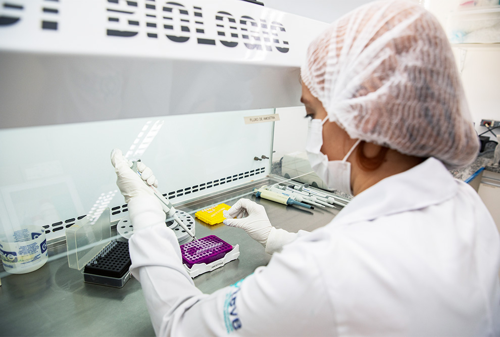 Anvisa aprova vacina contra chikungunya produzida pelo Instituto Butantan