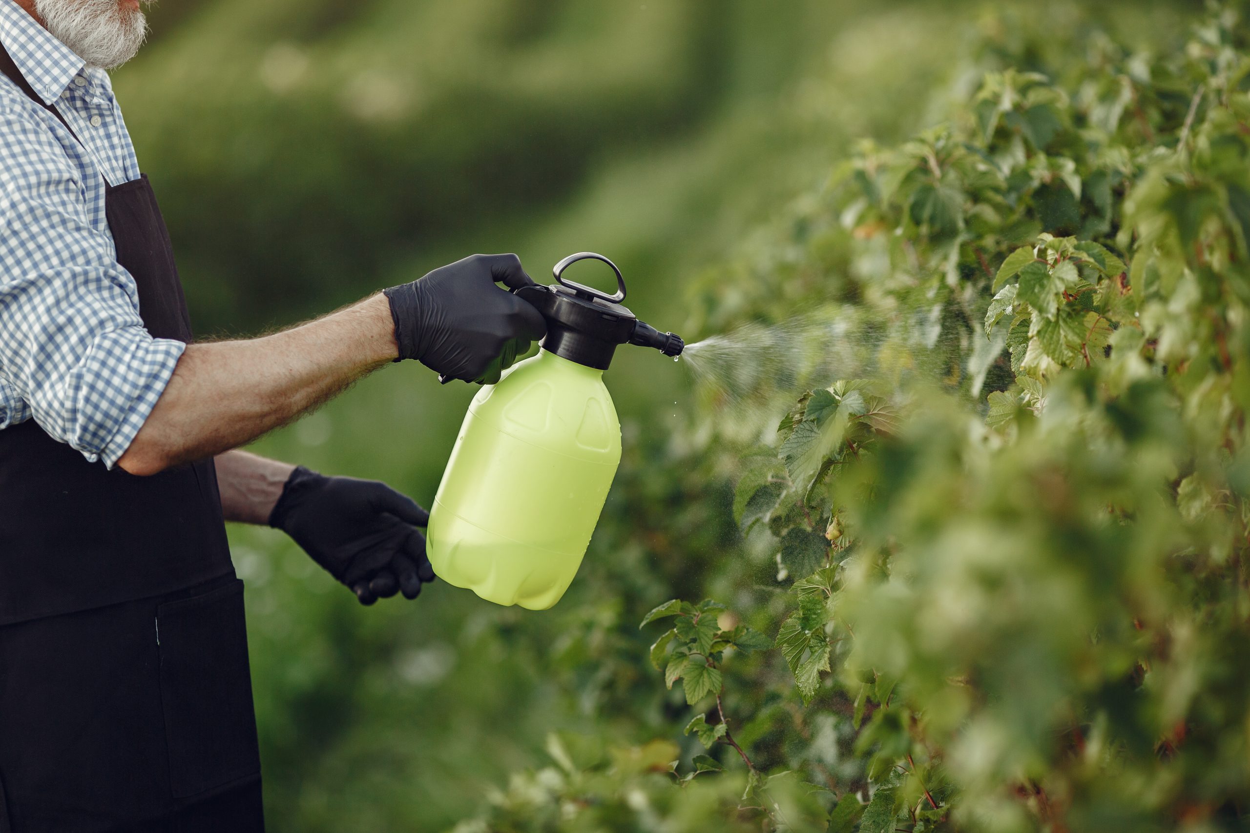 Pesquisa detecta agrotóxicos em chuvas de três regiões do Estado de SP