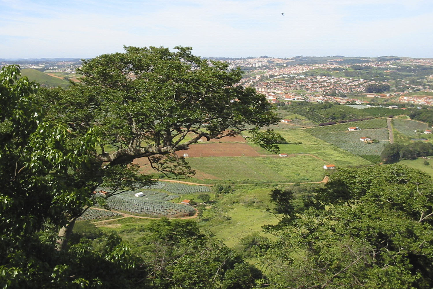 Prefeitura de Valinhos apresenta plano de combate a incêndios na Serra dos Cocais