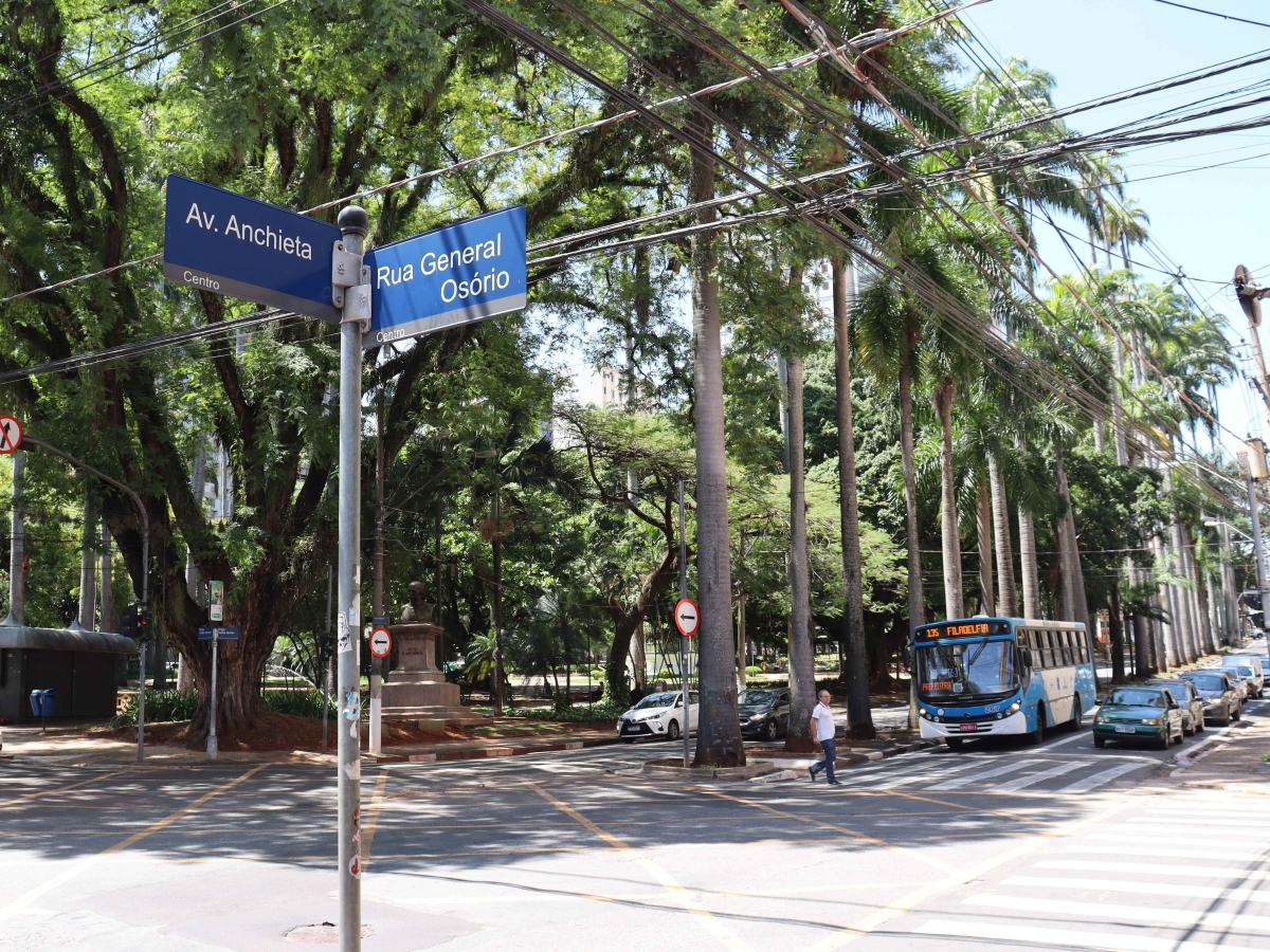 Poda de árvore bloqueia trânsito ao redor da Praça Carlos Gomes neste sábado