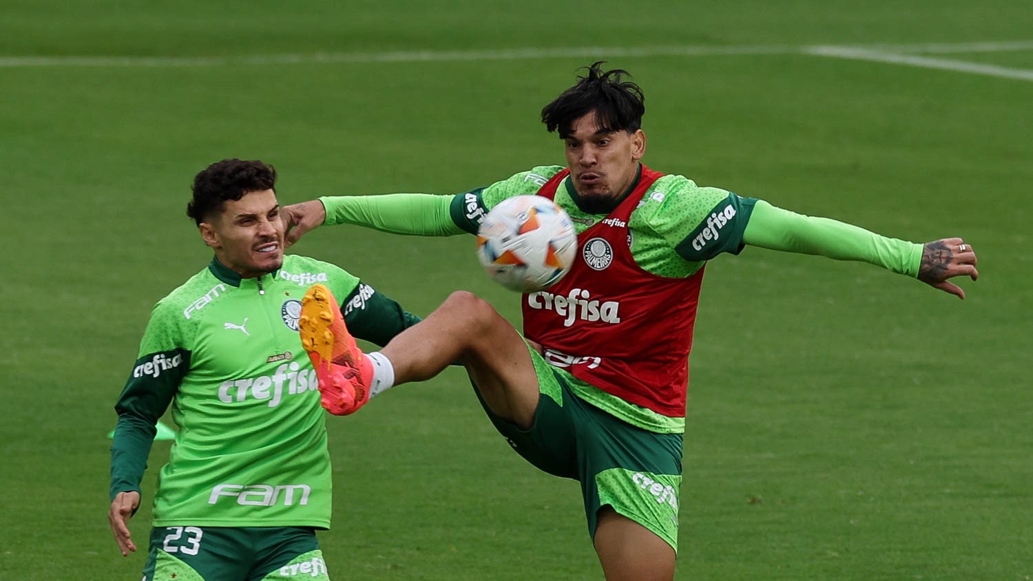 Capitão Gustavo Gómez pode ser a novidade do Palmeiras para estrear na Libertadores