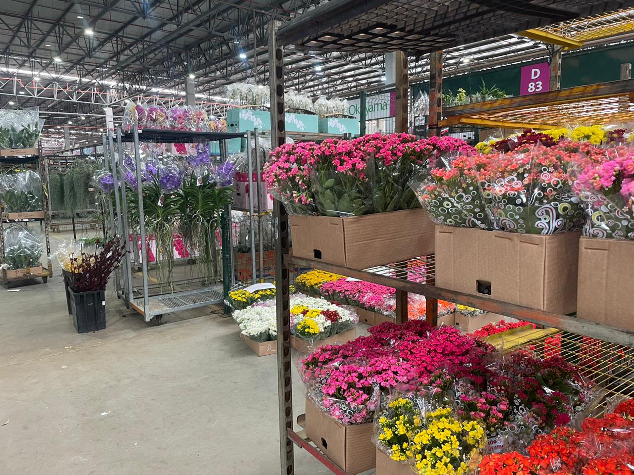 Comercialização de flores em Holambra cresce 10% nesse Dia das Mães