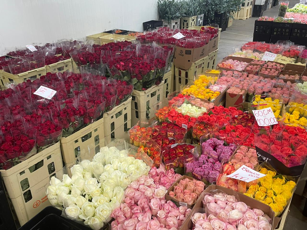 Comercialização de flores em Holambra cresce 10% nesse Dia das Mães