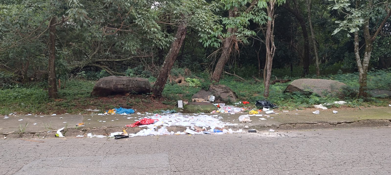 Moradores recolhem lixo do Parque Linear Ribeirão das Pedras em protesto por área degradada