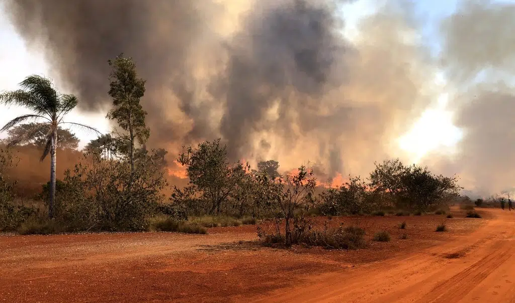 Campinas pode chegar ao “nível máximo” do risco para incêndios nesta sexta