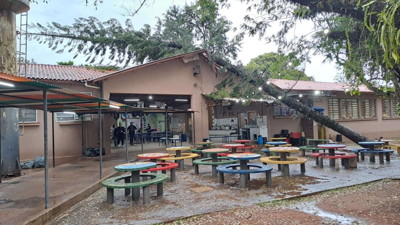 Árvore cai em escola de Piracicaba após ventania; ninguém ficou ferido 