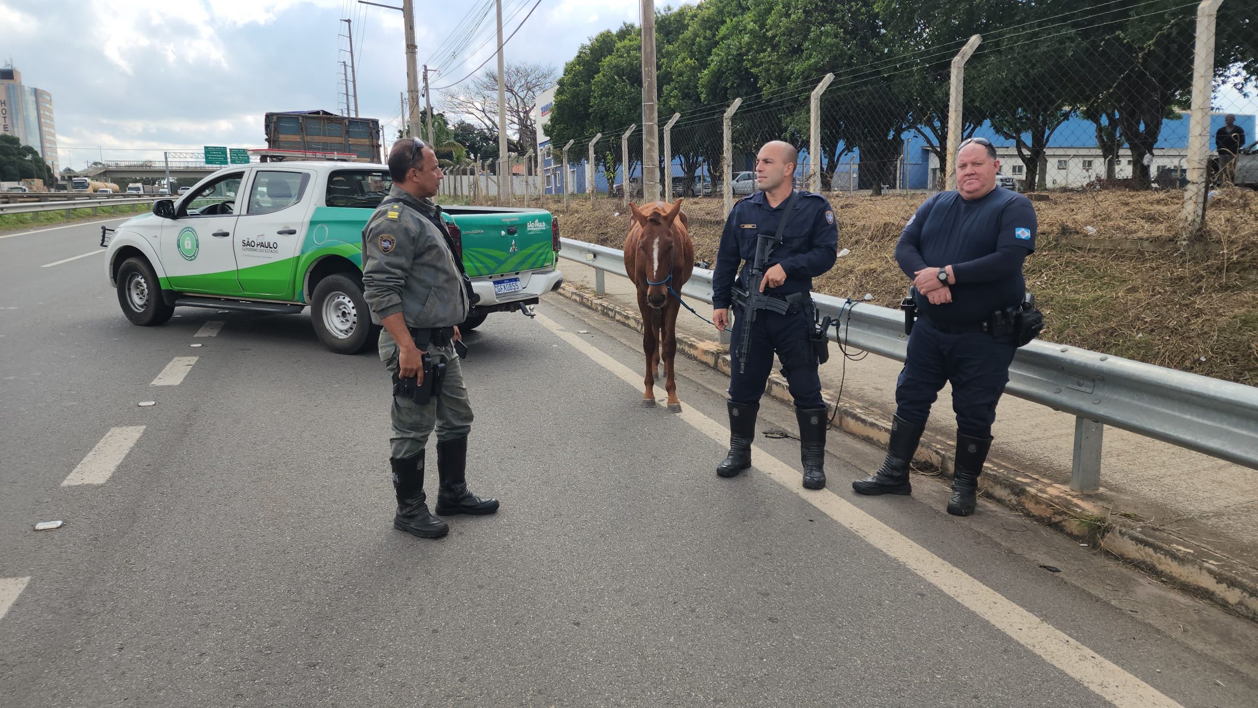 Homem é flagrado conduzindo cavalo furtado pela Rodovia Anhanguera 