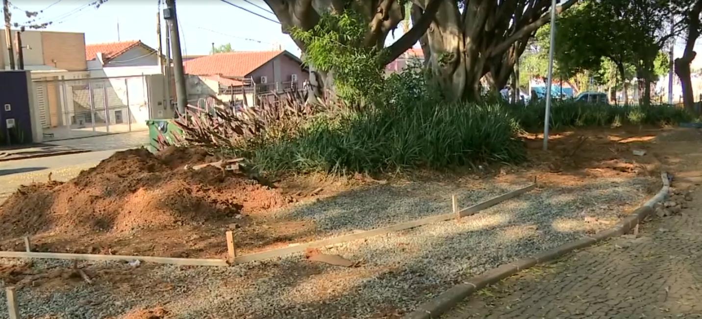 Podas de raízes de árvores serão retomadas na semana que vem na Praça Silva Rego, em Campinas