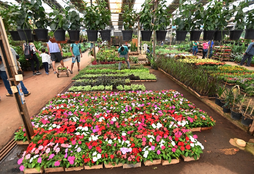 “Flores e Sabores de Campinas” acontece neste sábado