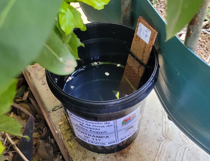 Indaiatuba instala mais 200 armadilhas para conter mosquito transmissor da dengue