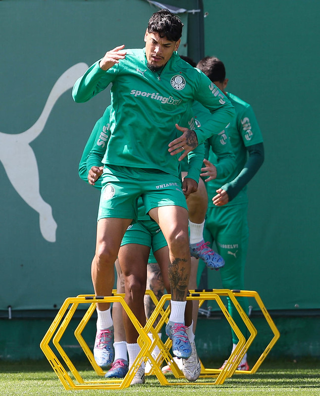 Palmeiras desembarca no Peru para enfrentar o Universitário