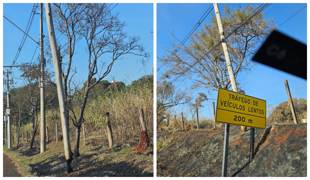 Postes têm risco de queda na Estrada da Rhodia em Campinas