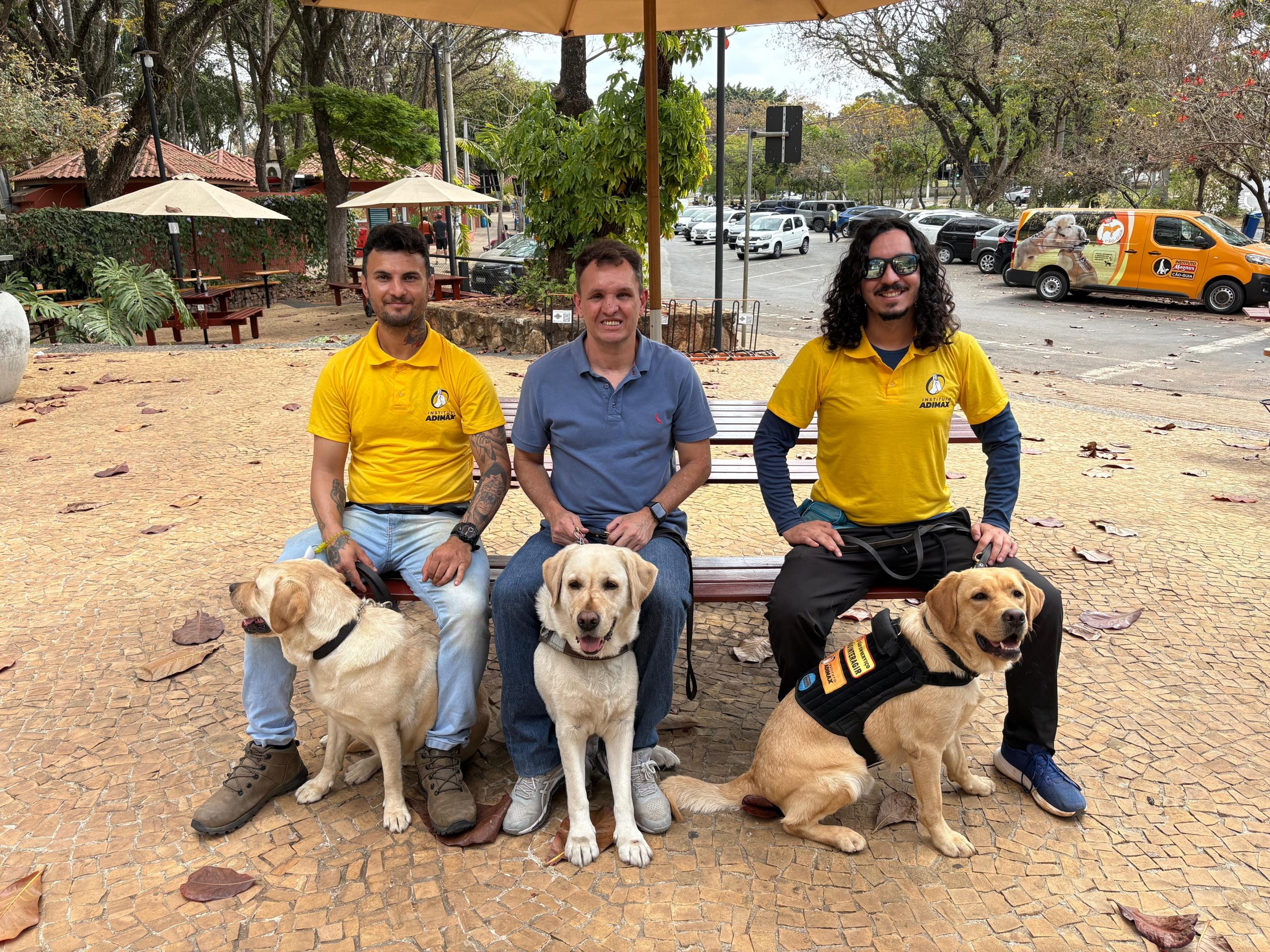 Brasil tem um cão-guia para cada 35 mil pessoas cegas; iniciativa no interior paulista já formou metade deles
