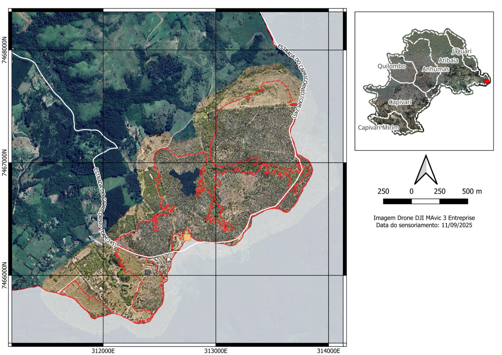 Compensação ambiental por incêndio no Pico das Cabras estima plantio de ao menos 100 mil árvores