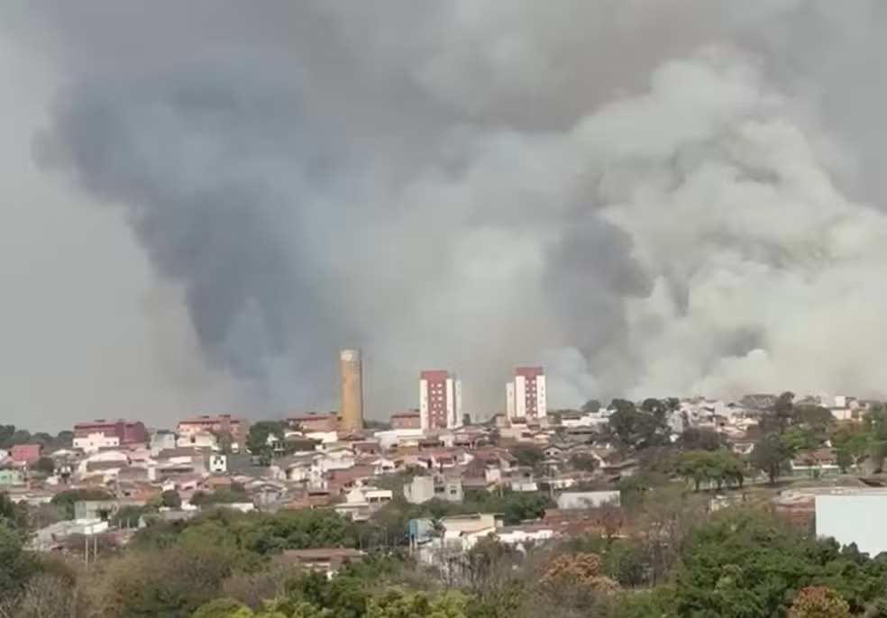 Incêndio atinge canavial às margens de rodovia em Santa Bárbara d’Oeste 