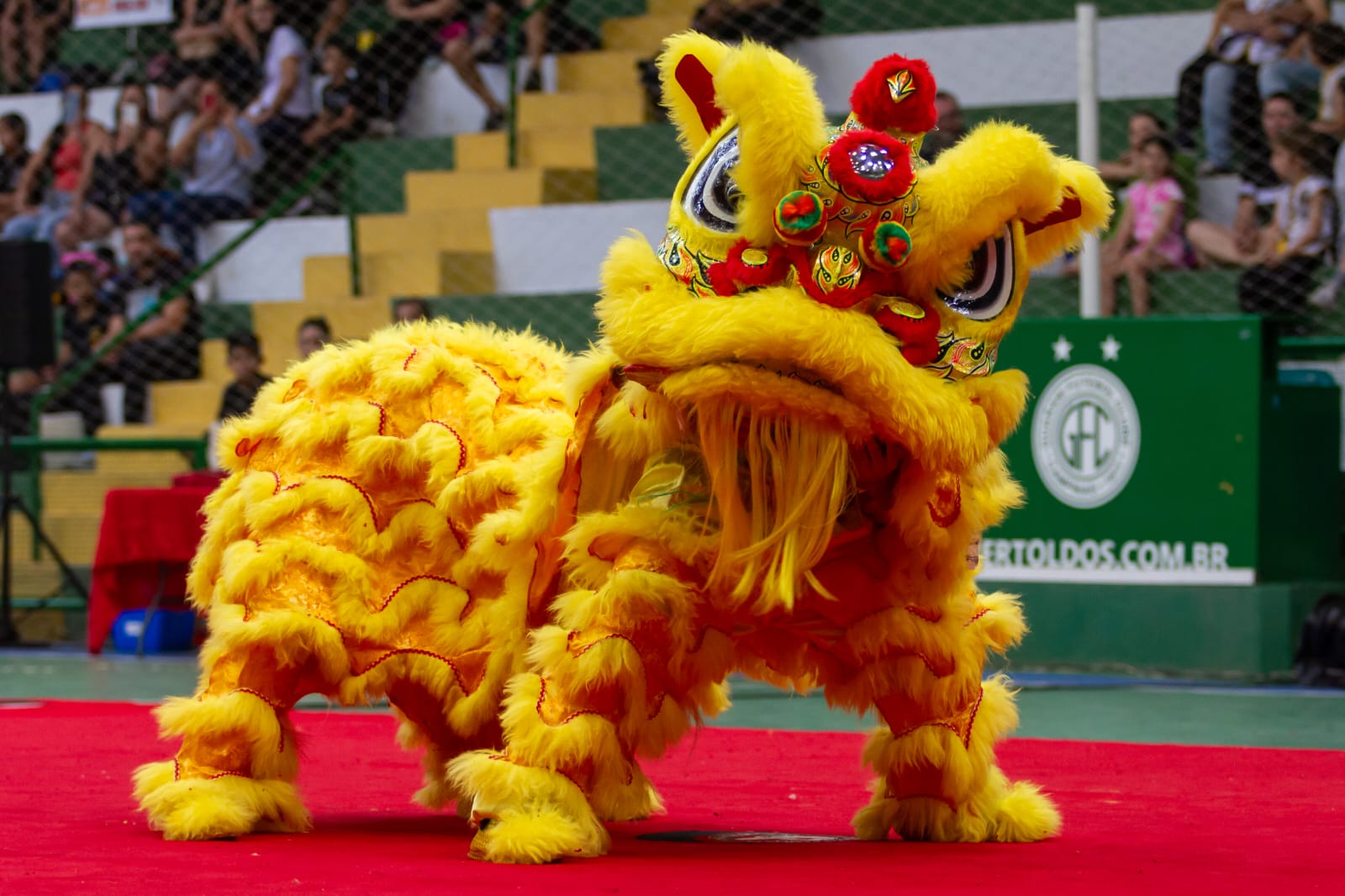 Festival da Lua celebra cultura chinesa e sustentabilidade em Campinas