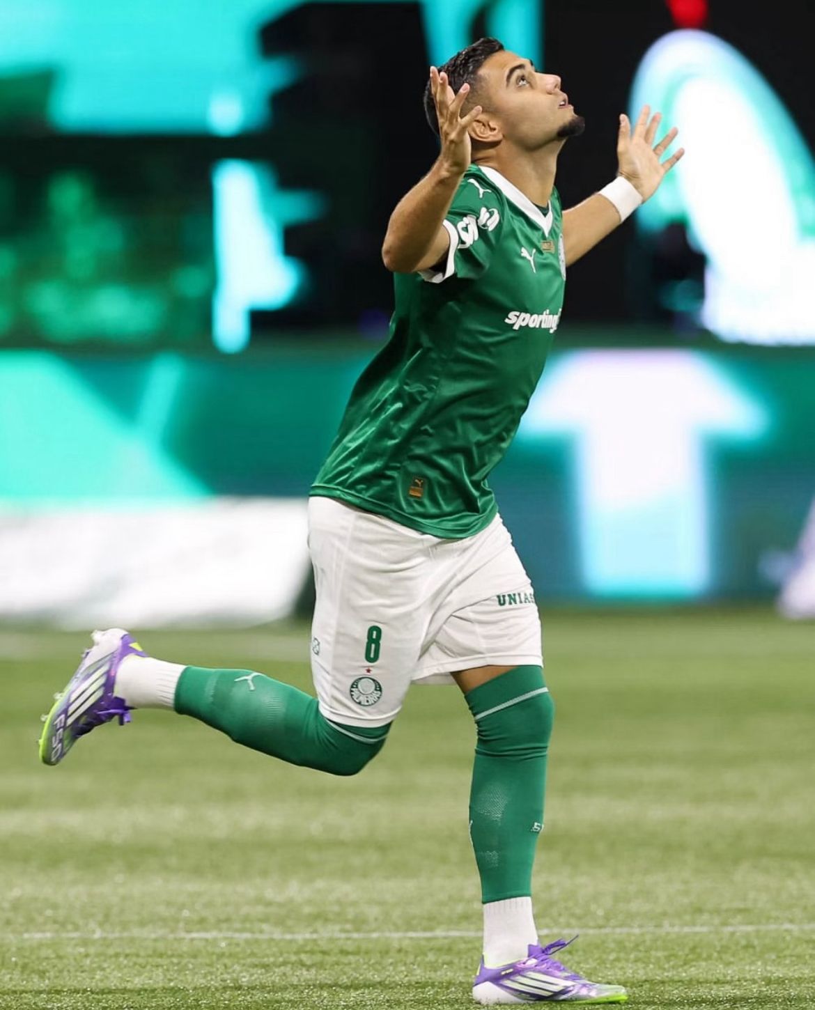 Após goleada, Palmeiras volta aos trabalhos e pensa no River Plate