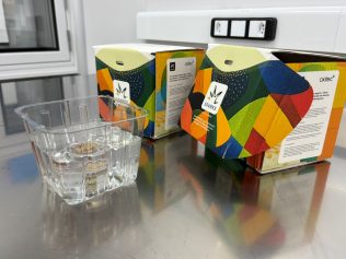 Empresa aguarda autorização da Anvisa para produzir mosquitos contra a dengue
