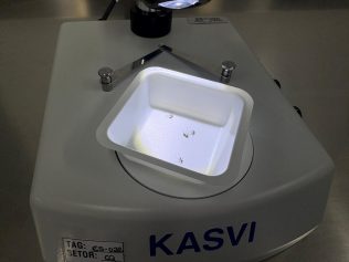 Empresa aguarda autorização da Anvisa para produzir mosquitos contra a dengue