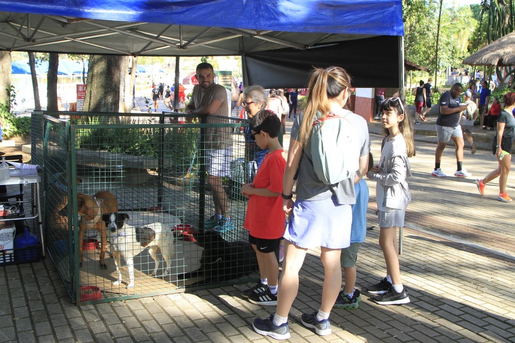 Lagoa do Taquaral terá feira de adoção de animais neste domingo; veja fotos