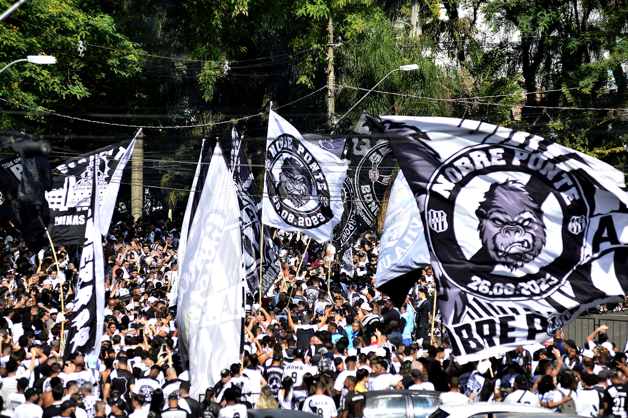 Ponte inicia venda de ingressos para primeiro jogo contra o Londrina; Sócio TC10 tem prioridade