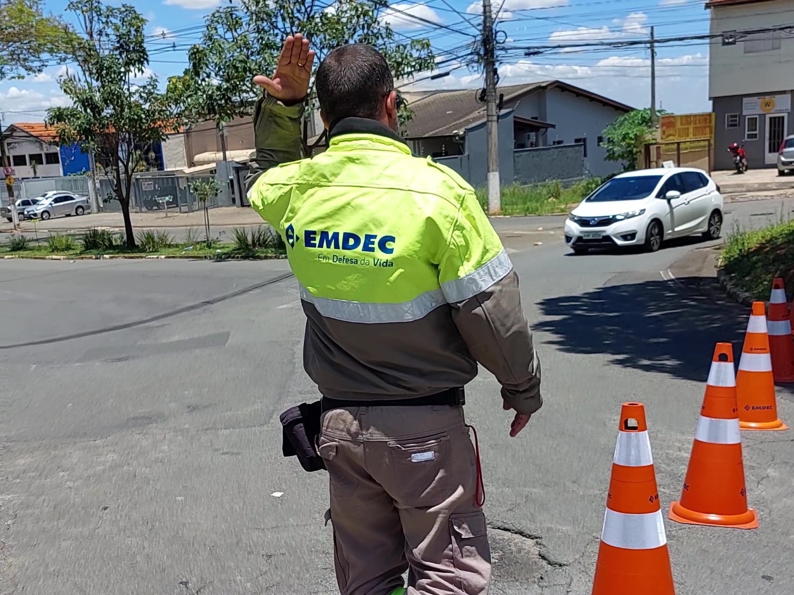 Trecho da Norte-Sul terá bloqueio para manejo de árvore de grande porte