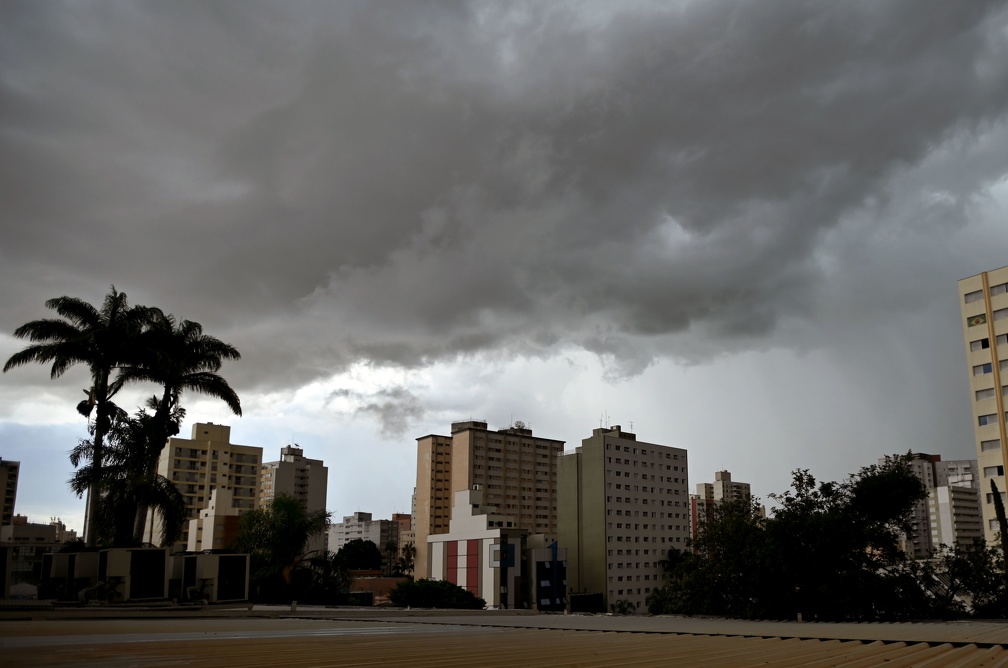 Temporal derruba cinco árvores na região dos DICs, em Campinas