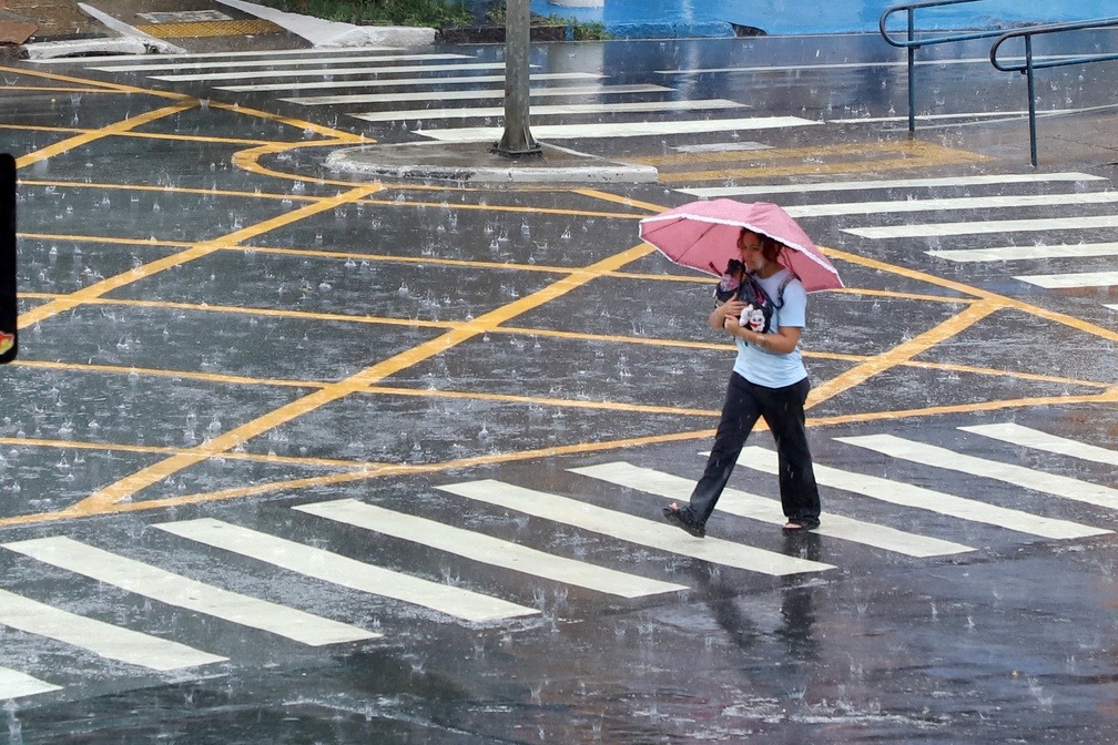 Campinas fecha 7 parques por conta das chuvas; veja quais