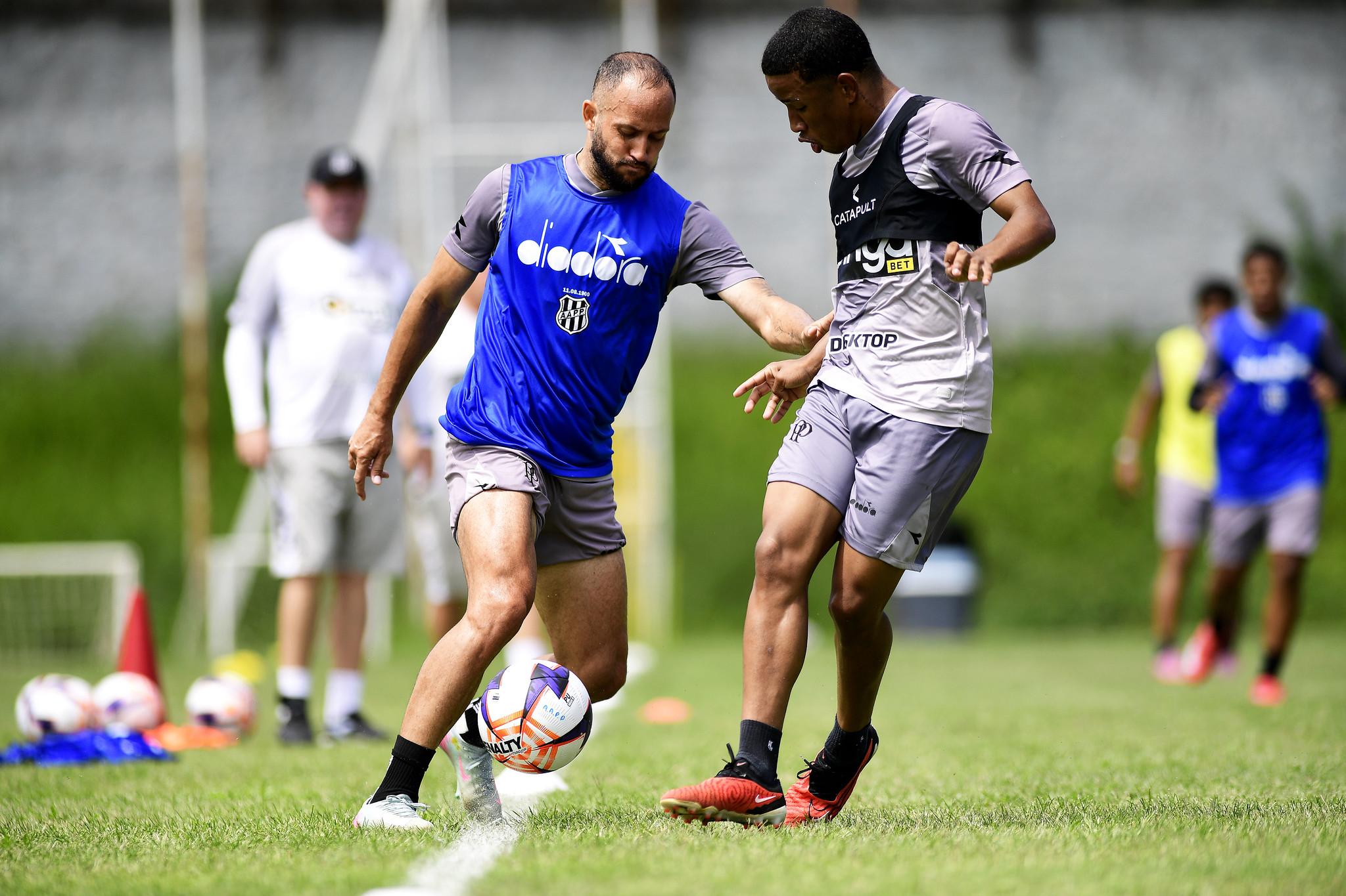 Precisando da vitória para evitar rebaixamento, Ponte Preta enfrenta a Portuguesa
