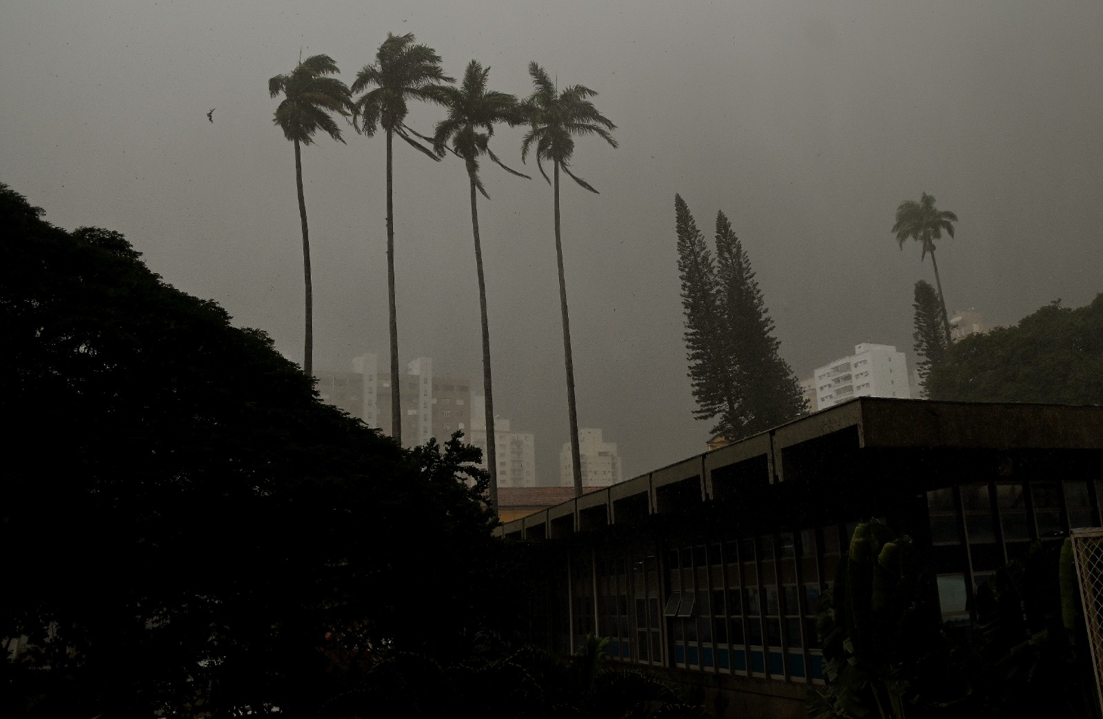 Tempo muda nesse final de semana na região de Campinas; confira a previsão