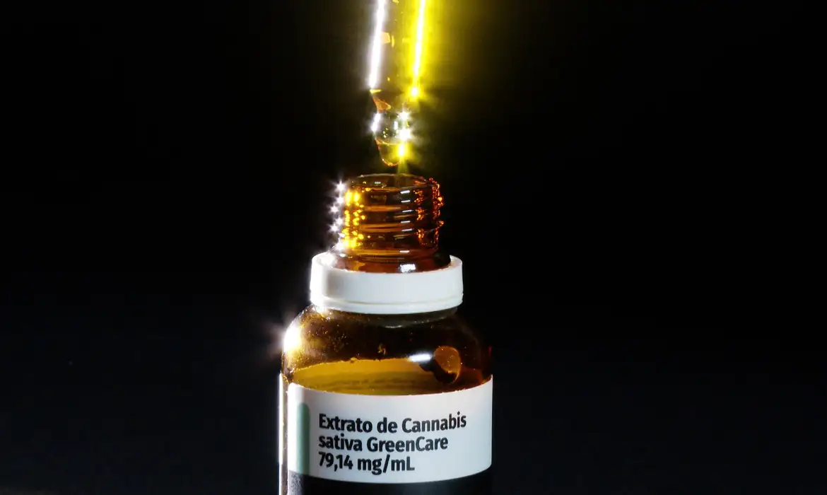Novas normas da Anvisa regulamentam plantio de cannabis para uso medicinal e pesquisa